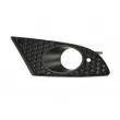 BLIC 6502-07-6613994P - Grille de ventilation, pare-chocs avant droit