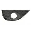 BLIC 6502-07-6621913P - Grille de ventilation, pare-chocs