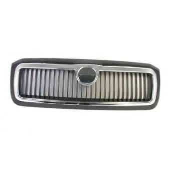 Grille de radiateur BLIC 6502-07-7513993P pour SKODA FELICIA 1.3 LX - 54cv