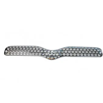 Grille de radiateur BLIC 6502-07-8109991P