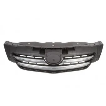 Grille de radiateur BLIC 6502-07-8116995P