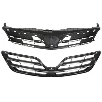 Grille de radiateur BLIC 6502-07-8116996P