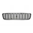 BLIC 6502-07-9021990P - Grille de radiateur