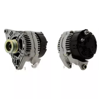 Alternateur CEVAM OEM 231005F600