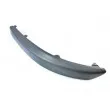 Baguette et bande protectrice, pare-chocs avant gauche BLIC [6502-07-9524921Q]