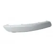 BLIC 6502-07-9524922Q - Baguette et bande protectrice, pare-chocs avant droit 