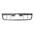 BLIC 6502-07-9542996P - Grille de radiateur
