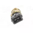 AIC 51906 - Sonde de température, liquide de refroidissement