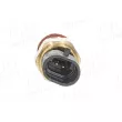 AIC 51911 - Sonde de température, liquide de refroidissement