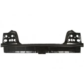 Panneau arrière BLIC [6503-05-0060650P]