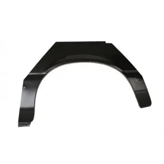 Doublure d'aile arrière gauche BLIC 6504-03-0053591P