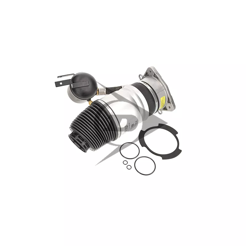 Ressort pneumatique, châssis arrière droit AIC 71058 - Visuel 1