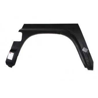 Doublure d'aile arrière droit BLIC 6504-03-1646592P