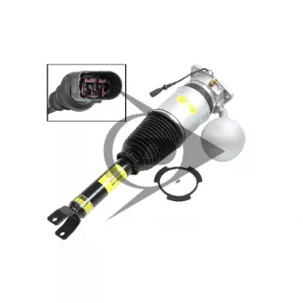 Armortisseur pneumatique arrière droit AIC OEM 3D0616002J