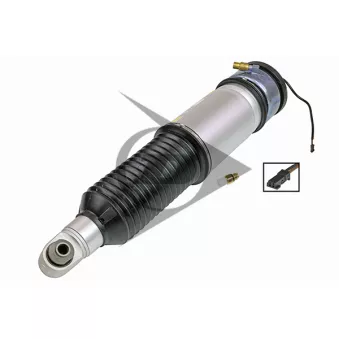 Armortisseur pneumatique arrière droit AIC 71102