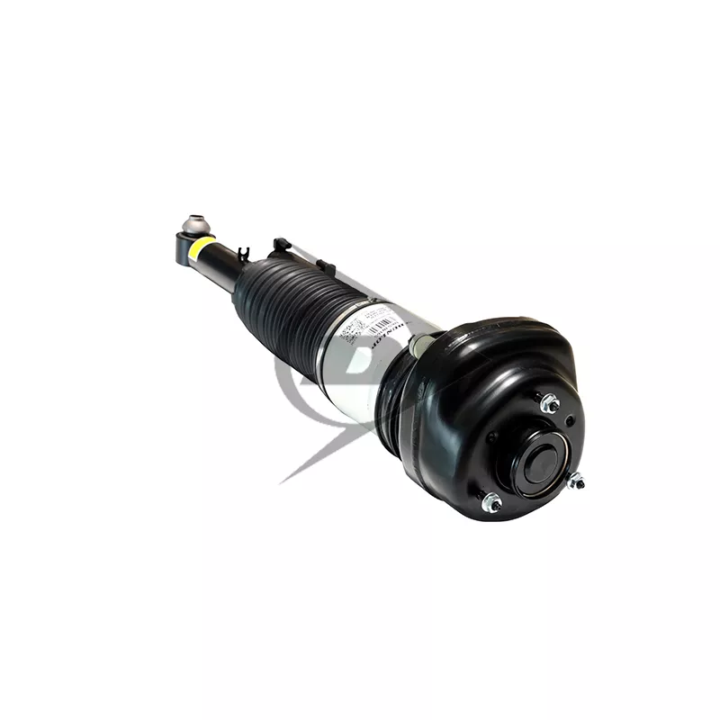 Armortisseur pneumatique arrière droit AIC 71111 - Visuel 1