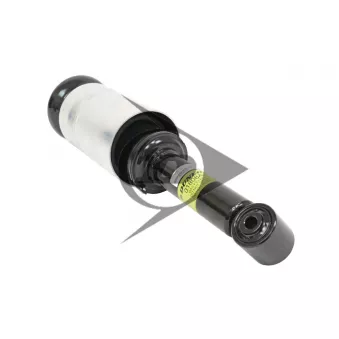 Armortisseur pneumatique AIC OEM RNB000856