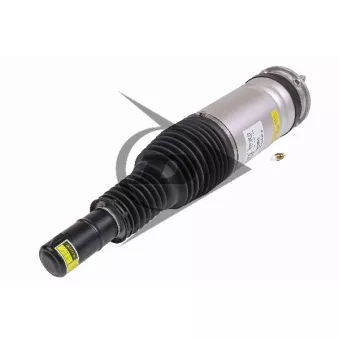 Armortisseur pneumatique avant droit AIC OEM LR087084
