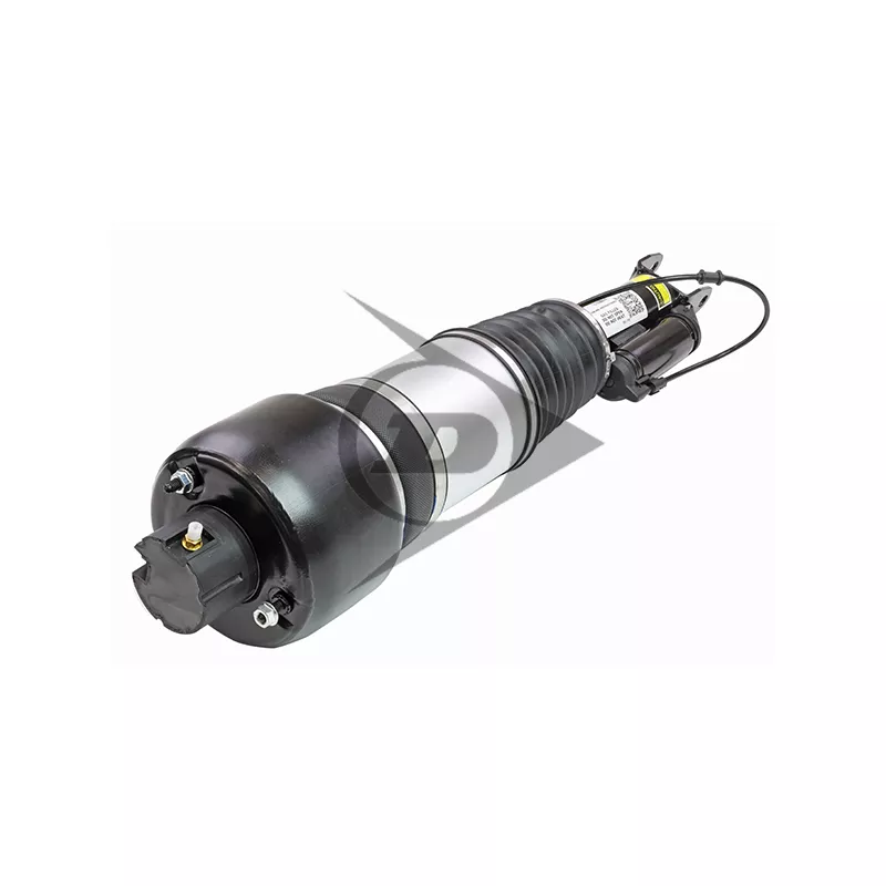 Armortisseur pneumatique avant gauche AIC 71190 - Visuel 2