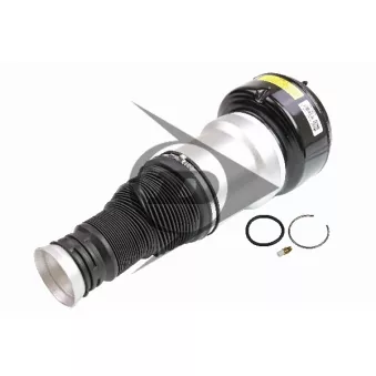 Armortisseur pneumatique arrière gauche AIC OEM 2213205513