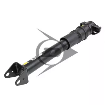 Armortisseur pneumatique AIC OEM a2513202231