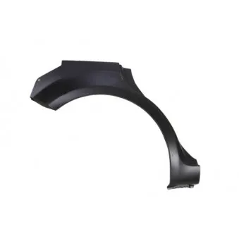 Doublure d'aile arrière droit BLIC 6504-03-2533582P