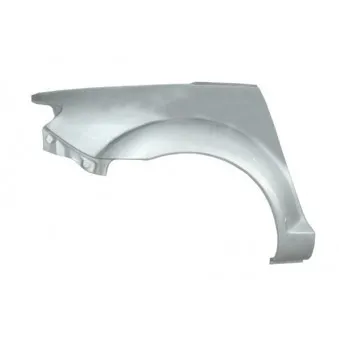 Doublure d'aile arrière droit BLIC 6504-03-3462576P