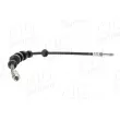 AIC 73925 - Flexible de frein 