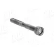 AIC 73993 - Vis, axe de culbuteur