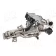 AIC 74904 - Module-EGR