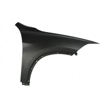 Aile avant droit BLIC 6504-04-0082312P