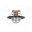 AIC 75191 - Thermostat, liquide de refroidissement