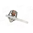 AIC 75196 - Thermostat, liquide de refroidissement