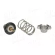 AIC 75197 - Thermostat, liquide de refroidissement