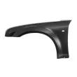 BLIC 6504-04-0938313P - Aile avant gauche 