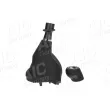AIC 75648 - Pommeau