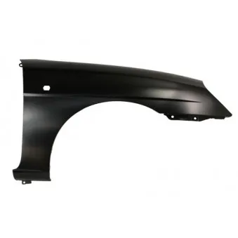 Aile avant droit BLIC 6504-04-1111314P