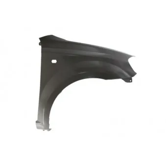 Aile avant droit BLIC 6504-04-1135312P