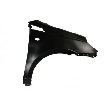 Aile avant droit BLIC 6504-04-1135314P