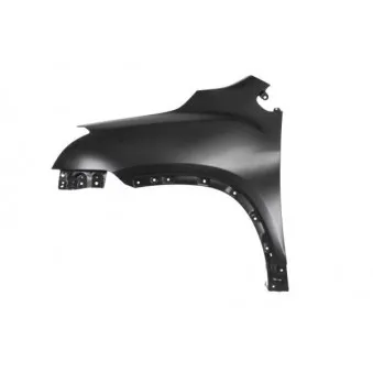 Aile avant gauche BLIC 6504-04-1194311P