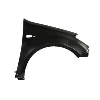 Aile avant droit BLIC 6504-04-1302312P