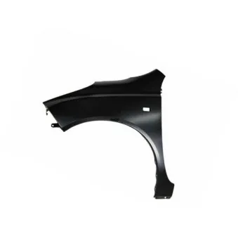 Aile avant gauche BLIC 6504-04-1609311P