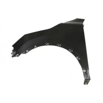 Aile avant gauche BLIC 6504-04-1617315P