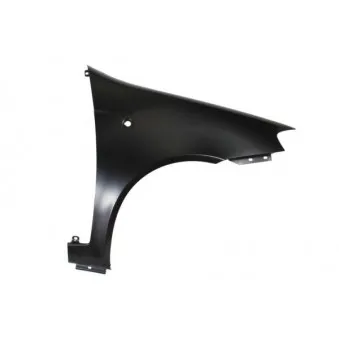 Aile avant droit BLIC 6504-04-2023316P