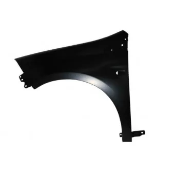 Aile avant gauche BLIC 6504-04-2029311P