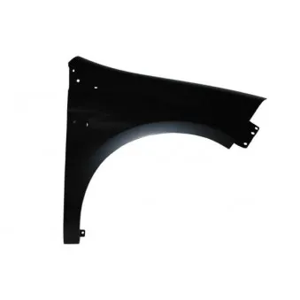 Aile avant droit BLIC 6504-04-2029312P