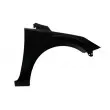 Aile avant droit BLIC [6504-04-2533314P]