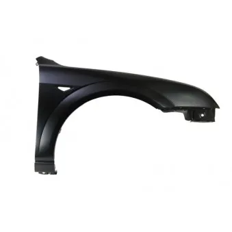 Aile avant droit BLIC 6504-04-2555312P