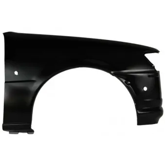 Aile avant droit BLIC 6504-04-2562314P