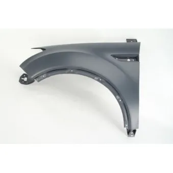 Aile avant gauche BLIC 6504-04-2578311P